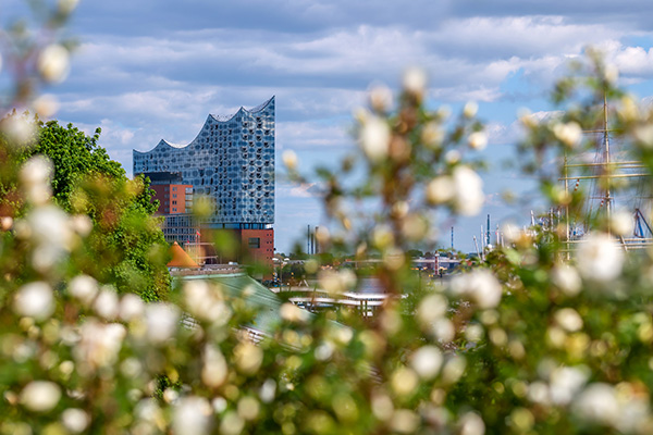 Elbphilharmonie im Frühling - Bild auf Leinwand oder Acrylglas