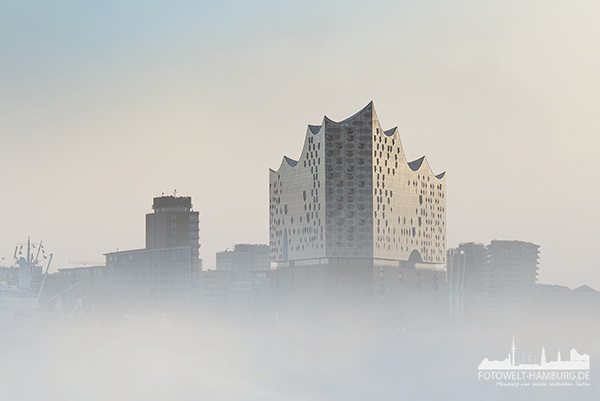 Nebelphilharmonie - Hamburg Bild auf Leinwand, Acrylglas oder als Poster