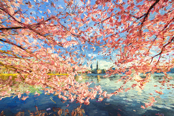 Kirschblütentraum - Digitales Hamburg Gemälde, Acrylglas oder als Poster