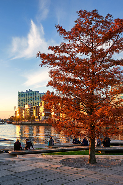 Hamburg Herbstliche Hafencity - Bild auf Leinwand