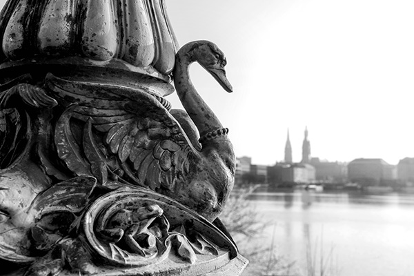 Alsterschwan - Hamburg Schwarzweiss-Fotografie auf Leinwand, Acrylglas oder als Poster