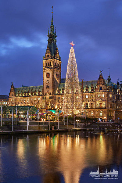 Hamburger Rathaus mit Weihnachtsbaum - Bild auf Leinwand 