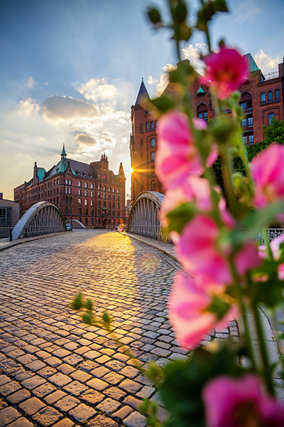 Stockrosen in der Speicherstadt - Abstraktes Hamburg Wandbild auf Leinwand, Acrylglas oder als Poster