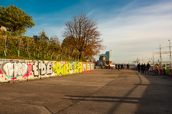 Weinberg am Stintfang im Herbst - Hamburg Landungbrücken Bild auf Leinwand, Acrylglas, Akustikbild oder als Poster